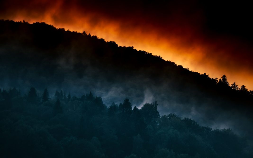 Top 5 Wildfire Hotspots in California History