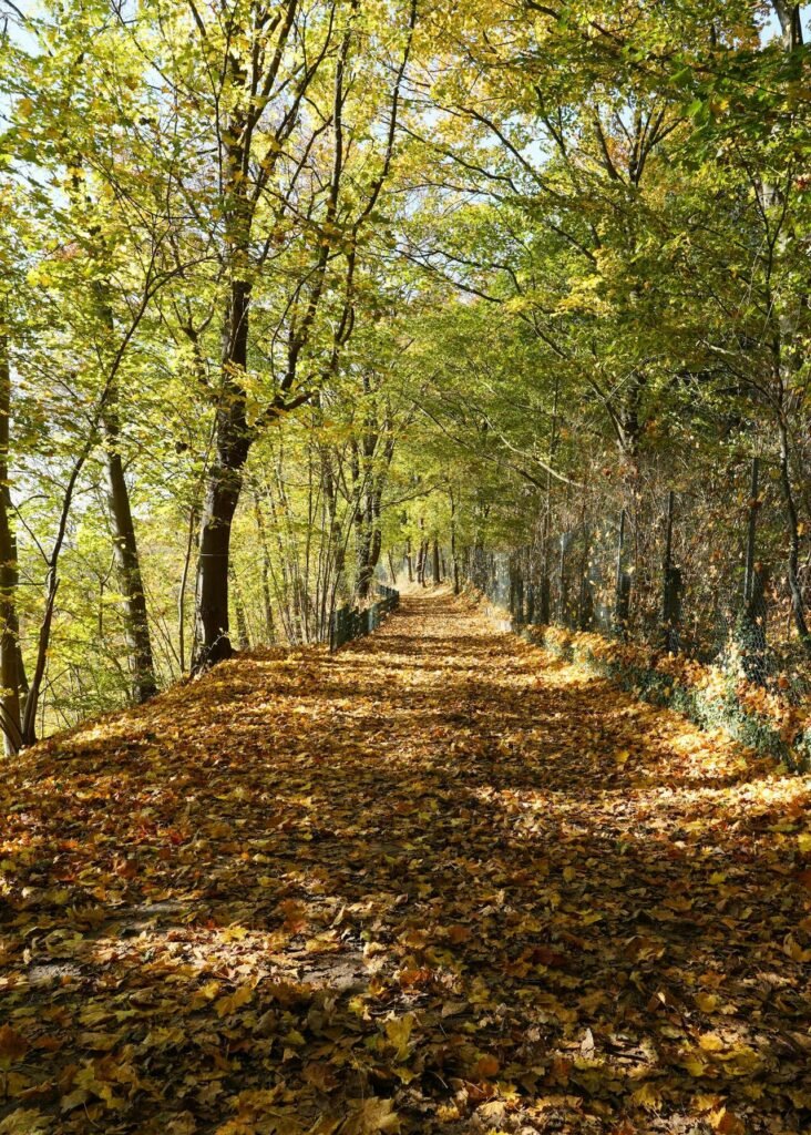 The best European walking holiday destination for every season Greek walking holidays